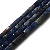 Natural Sodalite Beads Strands G-D464-25-1