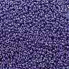 MIYUKI Round Rocailles Beads SEED-X0055-RR0432-3