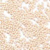 Baking Paint Glass Seed Beads X1-SEED-A033-05A-3