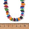 Dyed Natural Freshwater Shell Chip & Brass Beaded Necklaces NJEW-JN06409-4