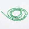 Natural Green Onyx Agate Beads Strands G-K185-19-2