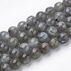 Natural Labradorite Beads Strands G-S150-47-8mm-1