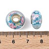 Lampwork & Brass Core European Beads LAMP-P019-01P-10-3