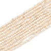 Natural Cultured Freshwater Pearl Beads Strands X-PEAR-S016-001-2