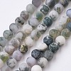 Natural Tree Agate Bead Strands G-J376-11F-6mm-1