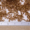 MIYUKI Delica Beads SEED-JP0008-DB0144-3