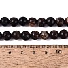 Natural Biotite Beads Strands G-Q616-01C-5