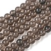 Natural Ice Obsidian Beads Strands G-P590-A03-6mm-01-2