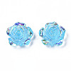 Transparent Resin Cabochons LS-CRES-N030-001B-02-2