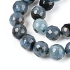 Dyed & Heated Natural Fire Crackle Agate Beads Strands G-N359-01B-03-4
