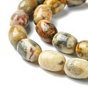 Barrel Shaped Gemstone Natural Crazy Lace Agate Beads Strands G-S114-08-5