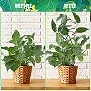 4Pcs 4 Styles Iron Flower Plant Supports FIND-CN0001-62C-6