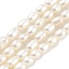 Natural Cultured Freshwater Pearl Beads Strands PEAR-P062-01H-1