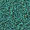 MIYUKI Round Rocailles Beads SEED-JP0008-RR1017-2