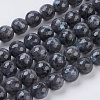 Natural Larvikite Beads Strands G-G542-10mm-27-1