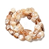 Natural Sea Shell Beads Strands SHEL-K006-16B-2