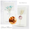 DIY Scrapbook AJEW-CP0002-89H-8