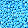 6/0 Glass Seed Beads SEED-S058-A-F298-3