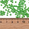 8/0 Baking Paint Glass Seed Beads SEED-M012-02A-39-4