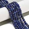 Natural Sodalite Beads Strands G-H042-A08-02-2