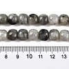 Natural Labradorite Beads Strands G-T138-143-5