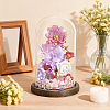 Arch Glass Dome Cover AJEW-WH0596-866D-01-4
