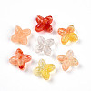 Transparent Acrylic Beads TACR-T028-35F-2