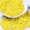 Baking Paint Glass Seed Beads SEED-B001-02A-03-1