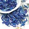 Glass Round Bugle Beads SEED-XCP0001-47F-1