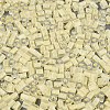 FGB Grade A Frosted Glass Seed Beads SEED-Q040-04A-10-4