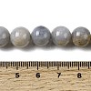 Natural Gemstone Beads Strands G-L641-A01-04-5