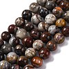 Natural Mexico Crazy Agate Beads Strands G-L615-A01-04-1