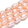 Natural Cultured Freshwater Pearl Beads Strands PEAR-N012-05Q-4