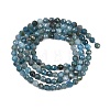 Natural Apatite Beads Strands G-P612-C-3mm-02-3