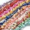 Natural Trochid Shell/Trochus Shell Beads Strands SHEL-B003-02-1