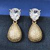 Brass Clear Cubic Zirconia Dangle Stud Earrings EJEW-A162-04G-1