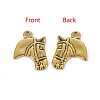 Tibetan Style Alloy Pendants GLF10908Y-NF-2