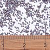 MIYUKI Delica Beads SEED-X0054-DB1067-4