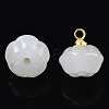 Glass Charms GLAA-N036-04B-1