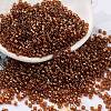 Baking Paint Glass Seed Beads SEED-S042-18B-01-1
