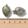 Natural Labradorite Pendants GG-K002-13M-3