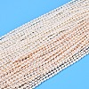 Natural Cultured Freshwater Pearl Beads Strands PEAR-N024-03-2AB-01-2