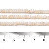 Natural Freshwater Shell Beads Strands X-SHEL-P017-01B-02-4