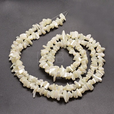 Natural White Mother of Pearl Shell Chip Bead Strands X-G-M205-63-1