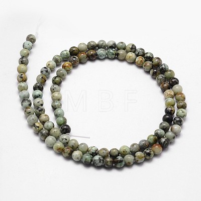 Natural African Turquoise(Jasper) Beads Strands G-D840-90-10mm-1