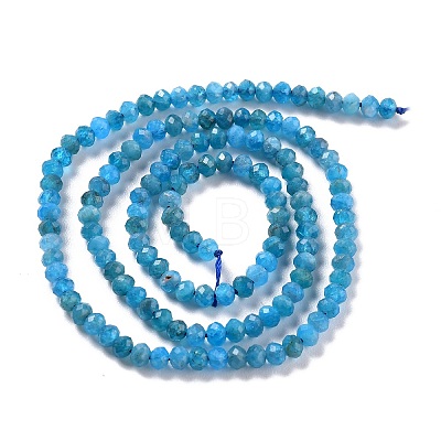 Natural Apatite Beads Strands X-G-K312-20B-1