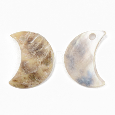 Natural Akoya Shell Pendants SHEL-R048-026-1