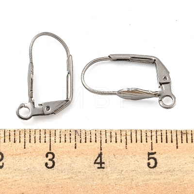 Non-Tarnish 304 Stainless Steel Leverback Earring Findings STAS-P360-02C-P-1