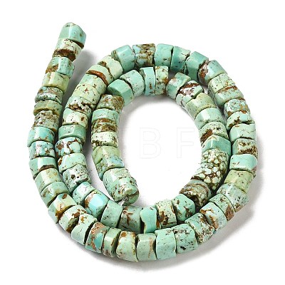 Natural Turquoise Beads Strands G-P506-05A-1