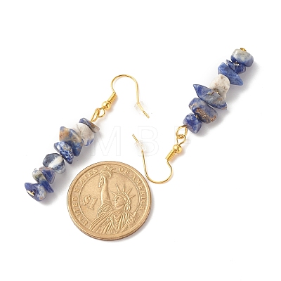 Natural Sodalite Chip Beaded Dangle Earrings EJEW-JE04788-13-1